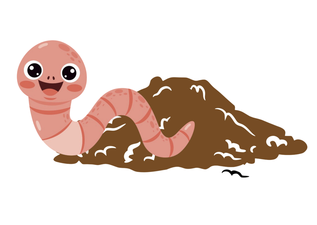 Organic Vermiculture Illustration